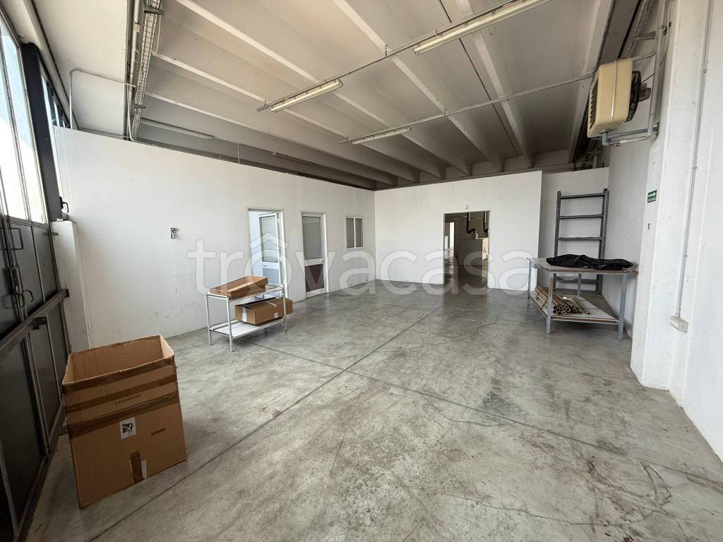 immagine annuncio 2 di 9