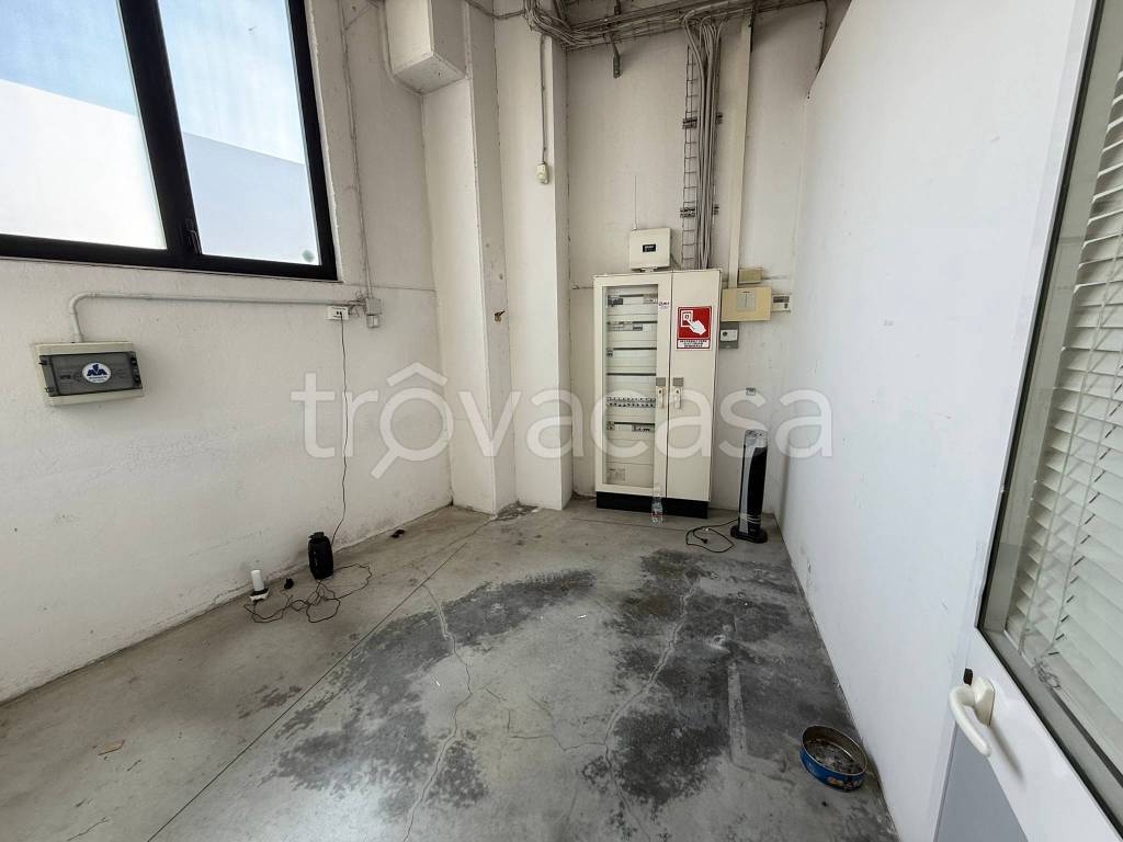 immagine annuncio 5 di 9