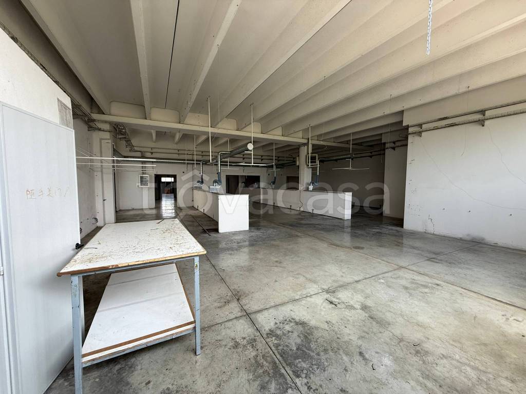 immagine annuncio 6 di 9