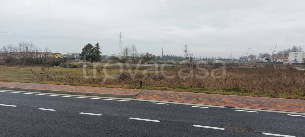 immagine annuncio 11 di 14