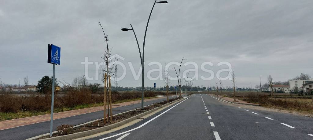 immagine annuncio 12 di 14