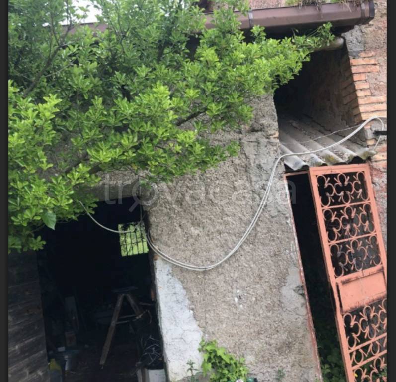 immagine annuncio 7 di 11