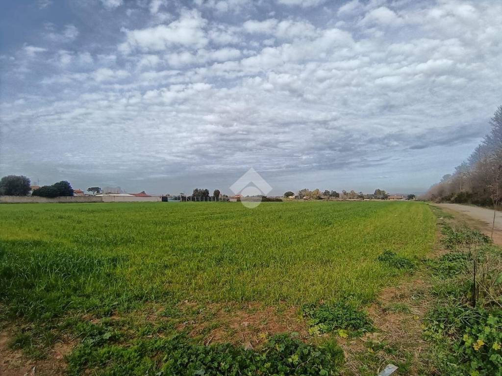 immagine annuncio 1 di 8