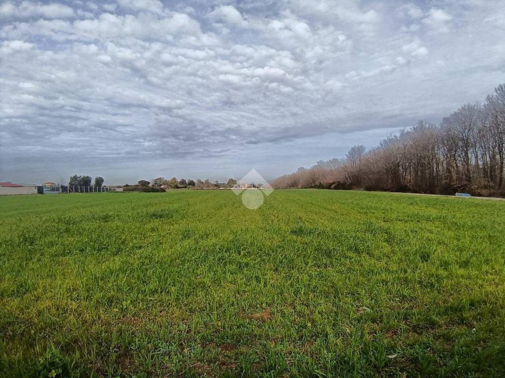 immagine annuncio 2 di 8