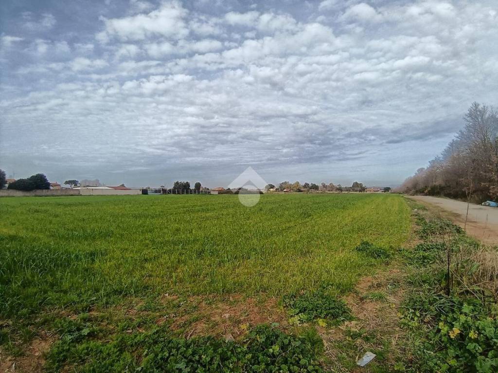 immagine annuncio 4 di 8