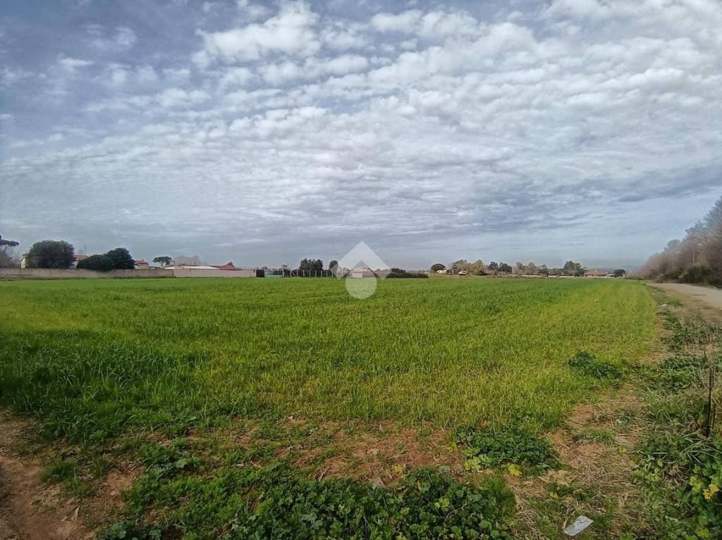 immagine annuncio 5 di 8