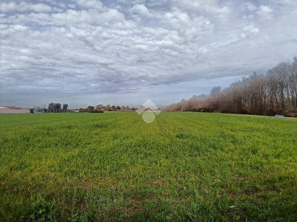 immagine annuncio 6 di 8