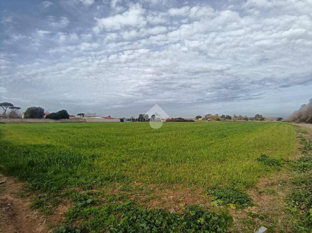 immagine annuncio 7 di 8