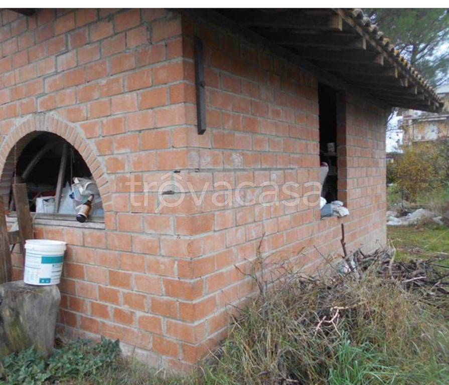 immagine annuncio 12 di 13