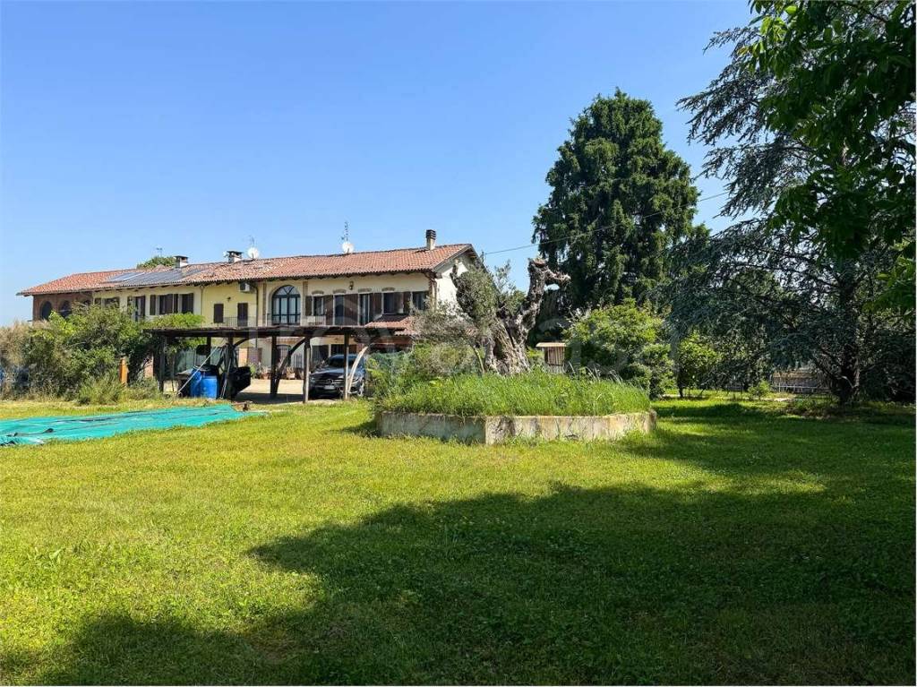 immagine annuncio 3 di 15