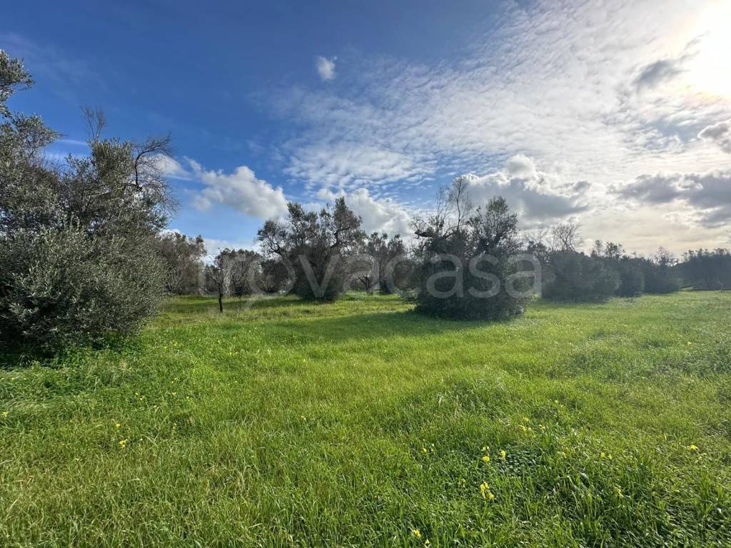 immagine annuncio 8 di 11