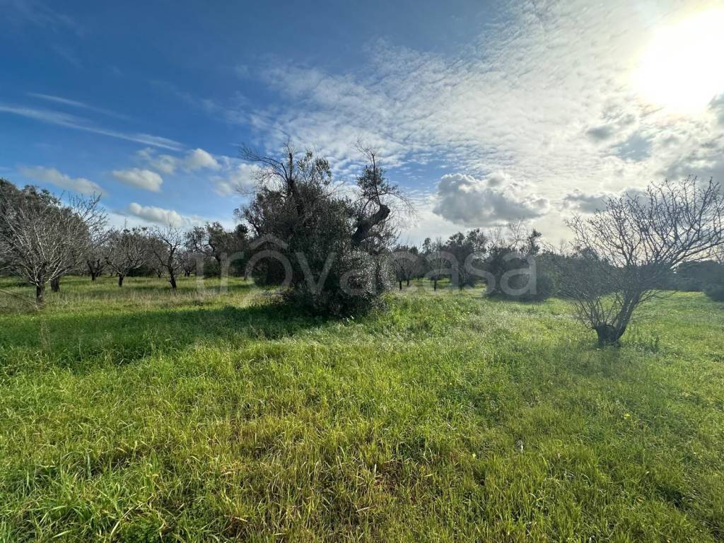 immagine annuncio 9 di 11