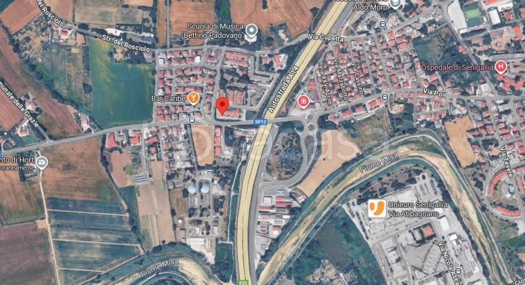 immagine annuncio 3 di 6