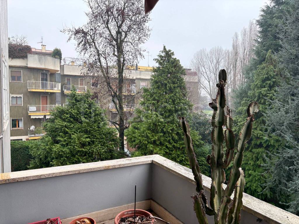 immagine annuncio 4 di 11