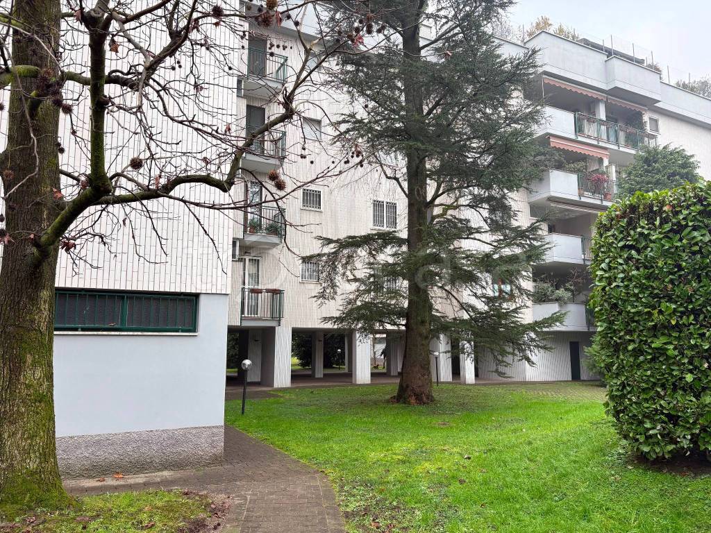 immagine annuncio 1 di 11