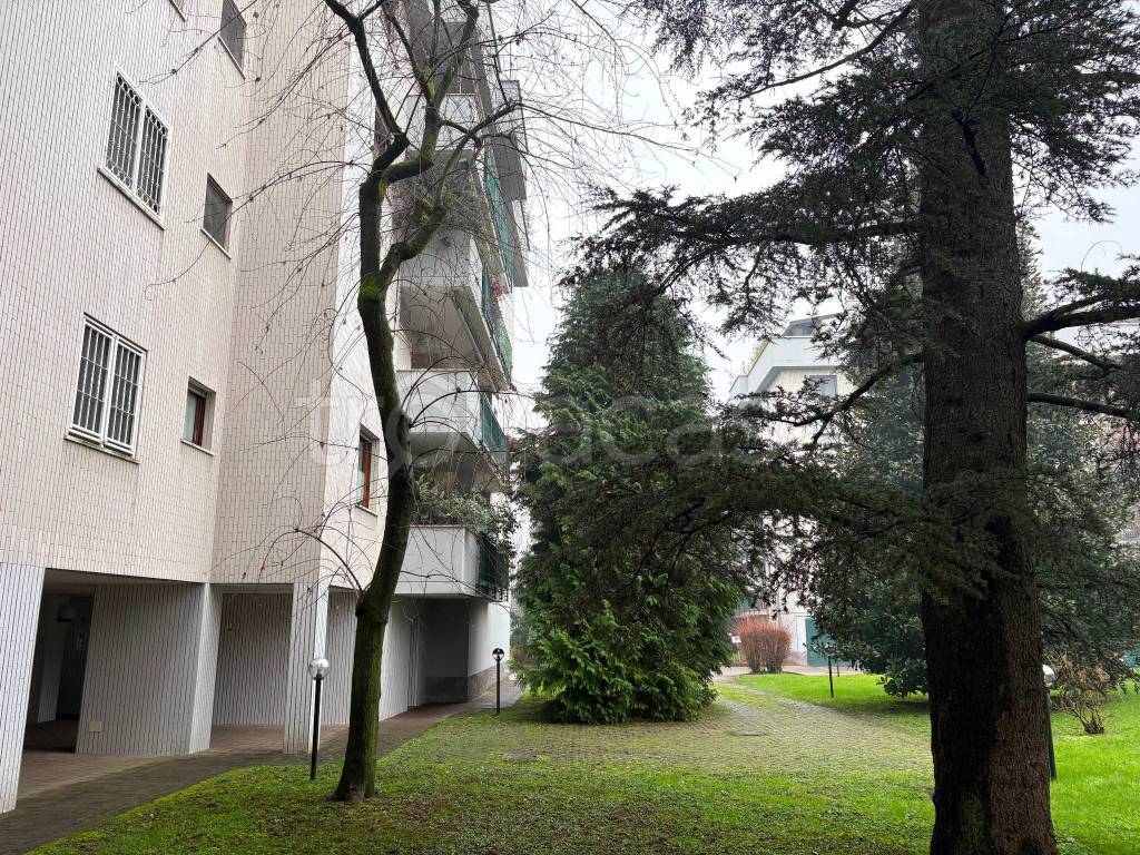 immagine annuncio 3 di 11