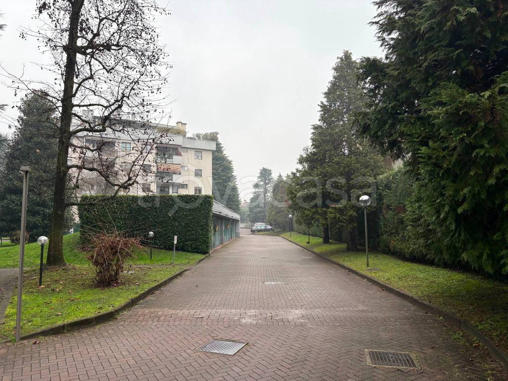 immagine annuncio 8 di 11