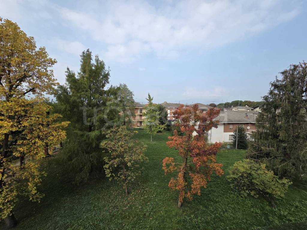 immagine annuncio 11 di 12