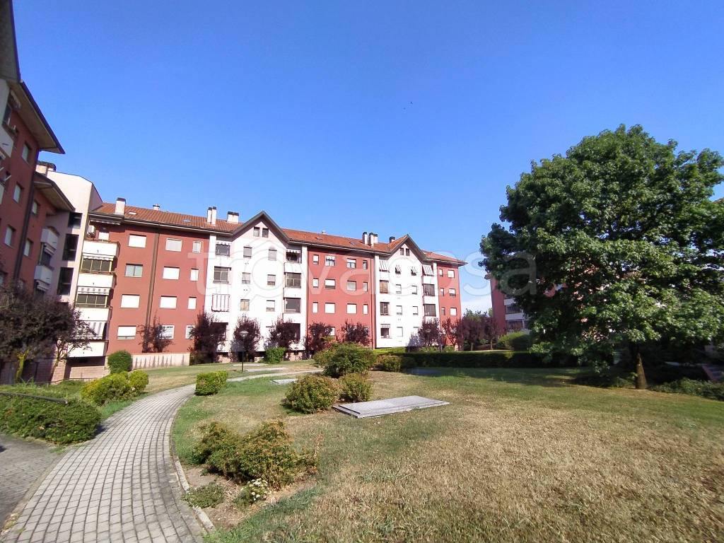 immagine annuncio 4 di 15