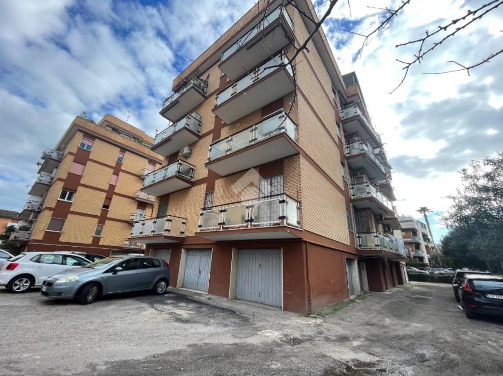 immagine annuncio 1 di 12