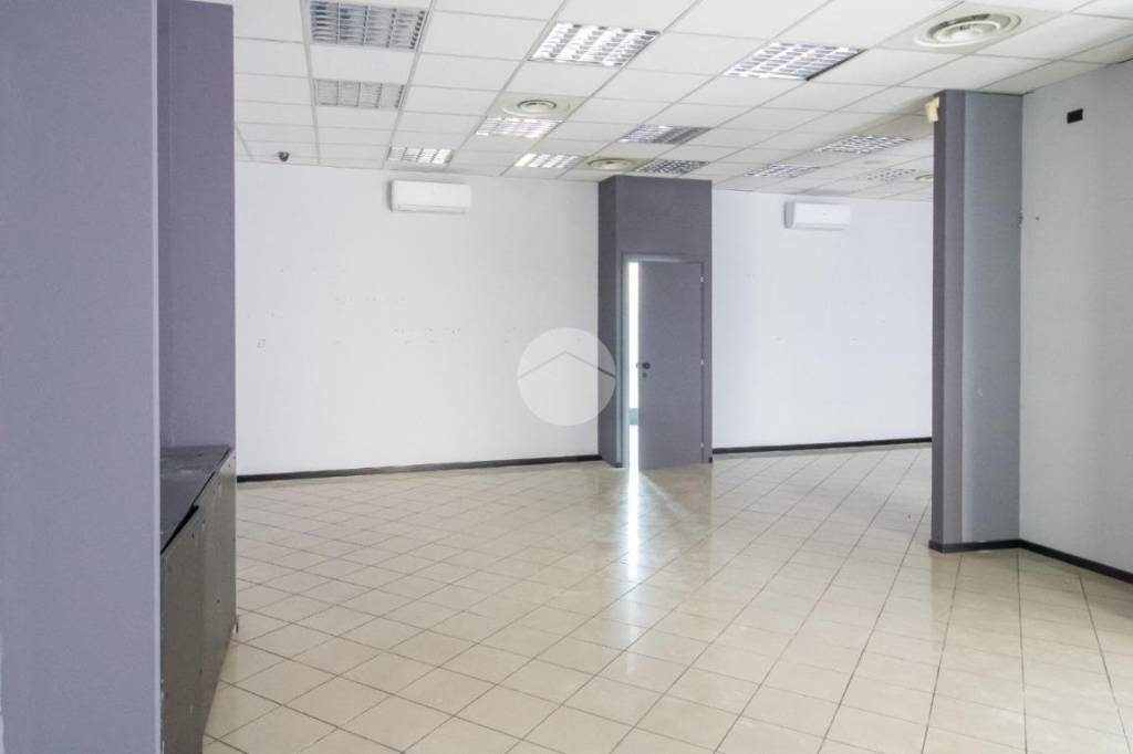 immagine annuncio 4 di 14