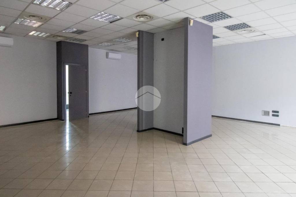 immagine annuncio 5 di 14