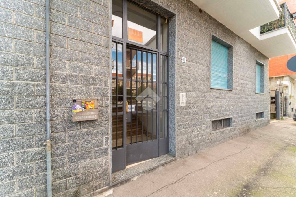 immagine annuncio 1 di 15