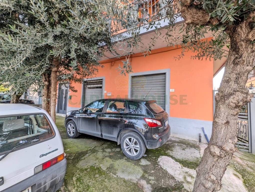 immagine annuncio 2 di 9