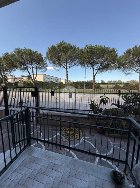 immagine annuncio 7 di 8