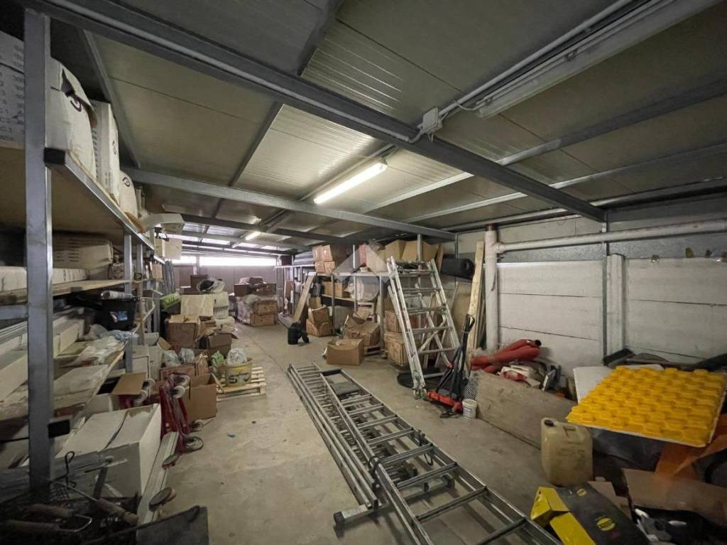 immagine annuncio 11 di 15