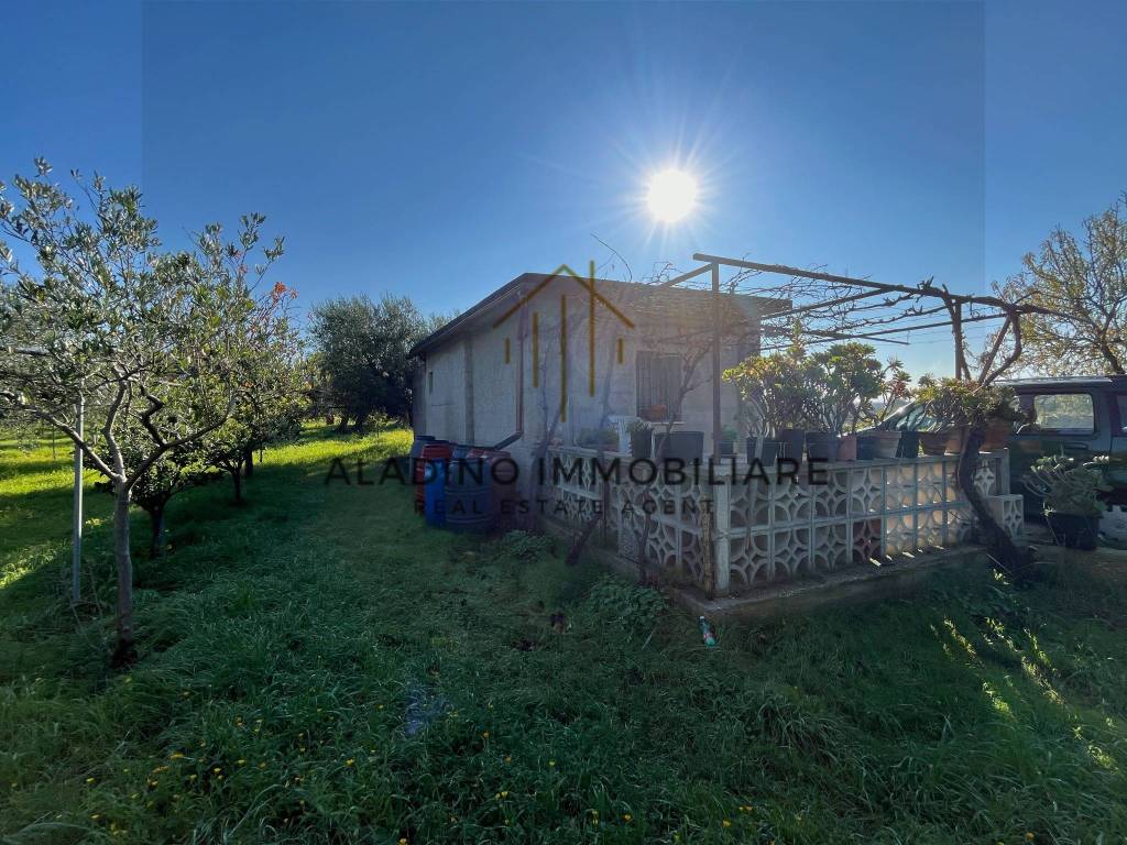 immagine annuncio 4 di 10