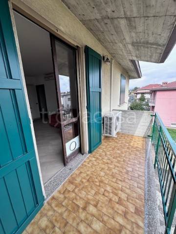 immagine annuncio 4 di 14