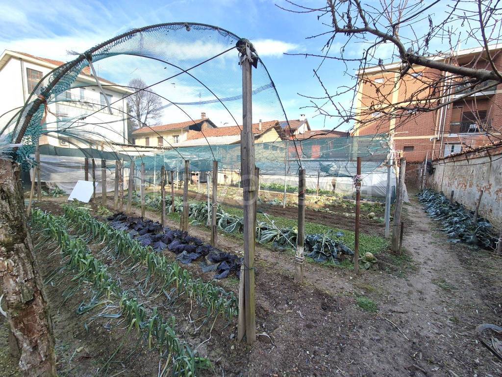 immagine annuncio 9 di 15