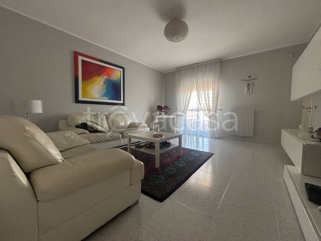 immagine annuncio 5 di 13