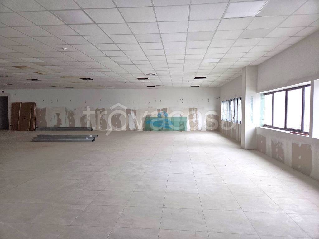 immagine annuncio 2 di 7