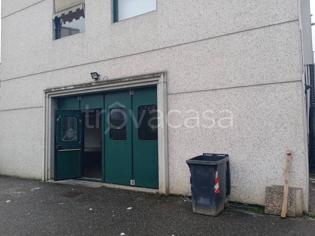 immagine annuncio 3 di 11