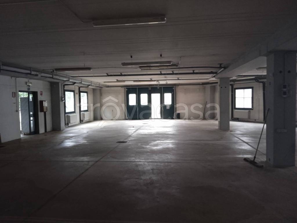 immagine annuncio 2 di 11