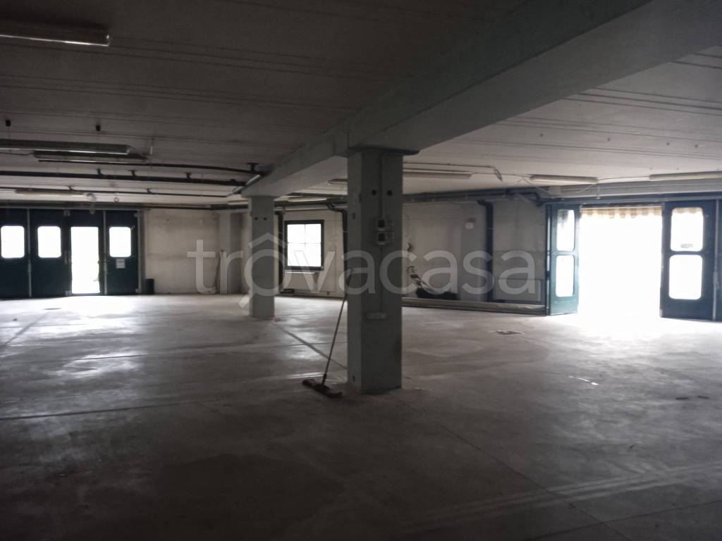 immagine annuncio 5 di 11