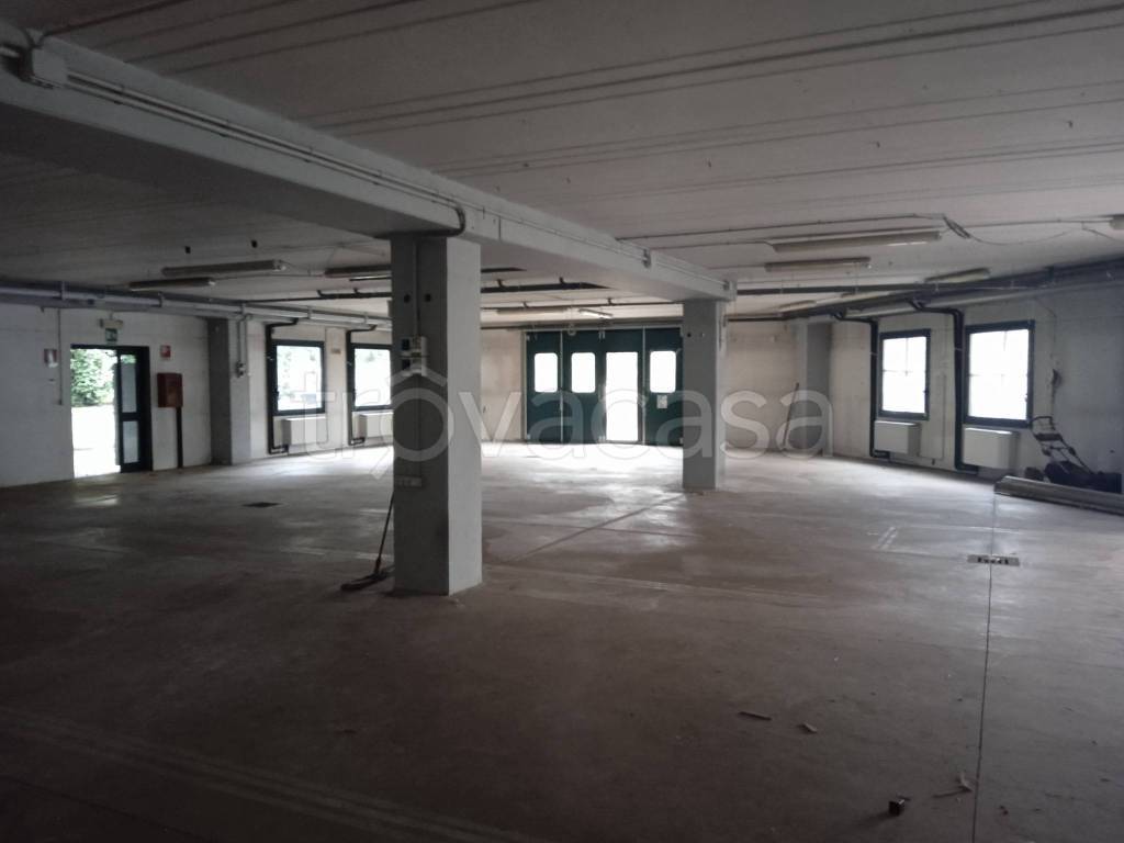 immagine annuncio 6 di 11