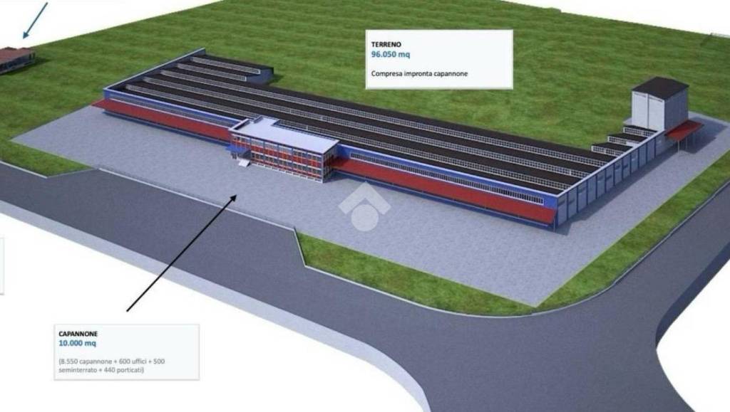 immagine annuncio 1 di 13