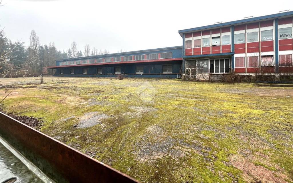 immagine annuncio 5 di 13