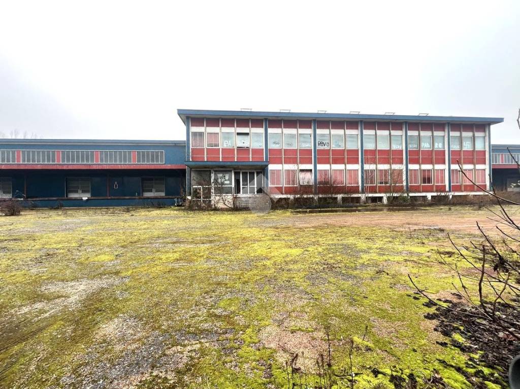 immagine annuncio 6 di 13