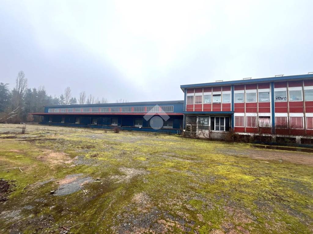 immagine annuncio 7 di 13