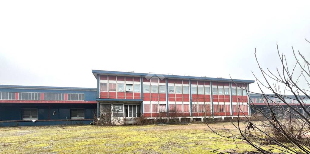 immagine annuncio 8 di 13