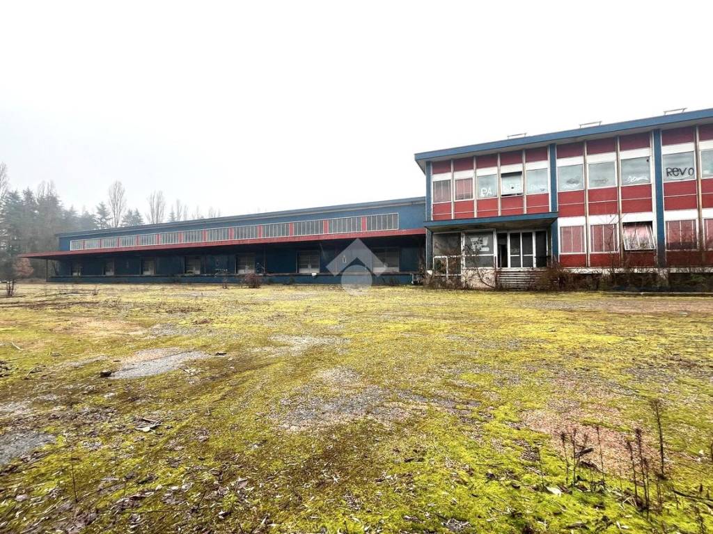 immagine annuncio 9 di 13