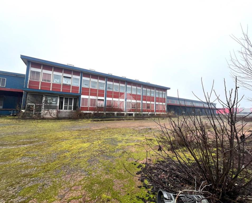 immagine annuncio 11 di 13