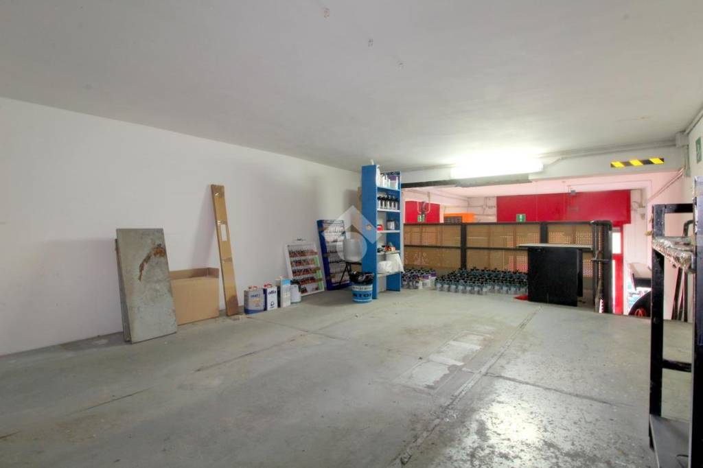 immagine annuncio 4 di 15