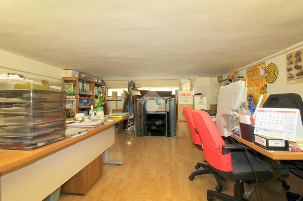 immagine annuncio 10 di 15