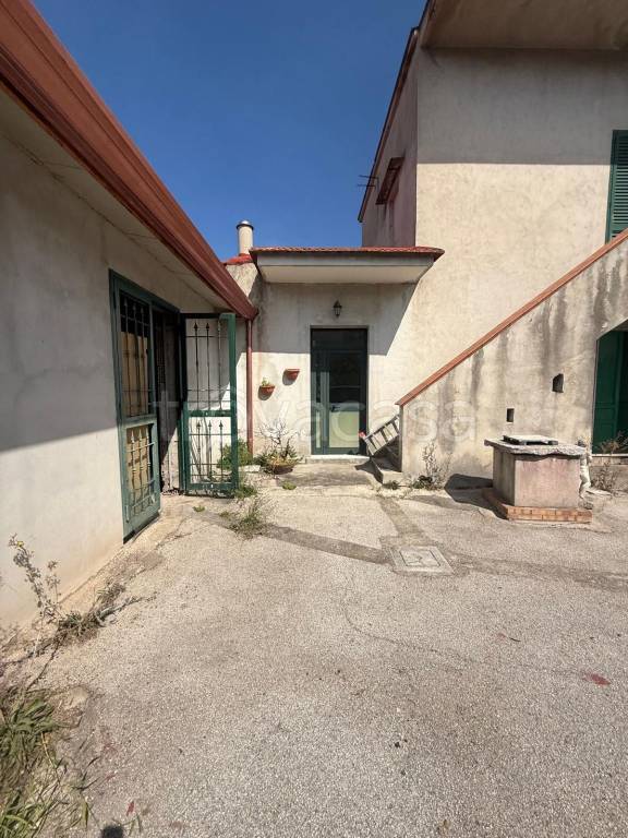 immagine annuncio 5 di 7