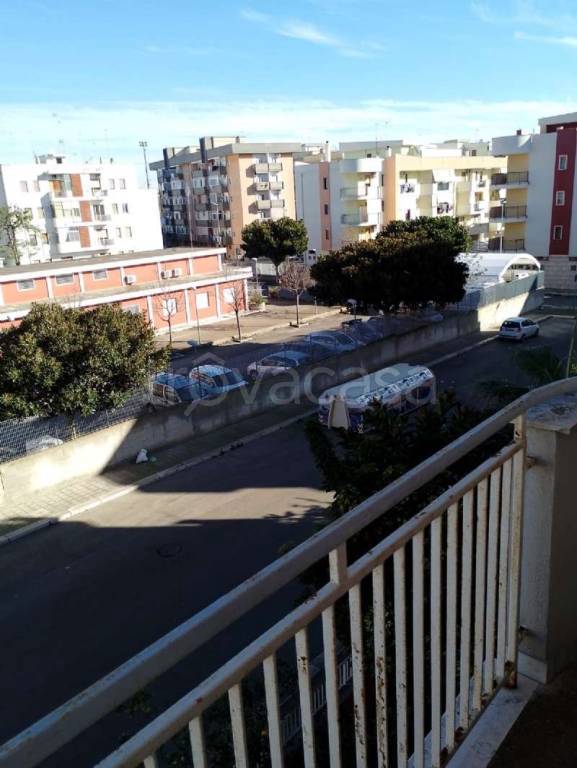 immagine annuncio 12 di 14